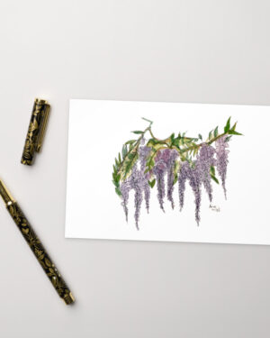 Wysteria Postcard