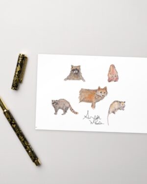 Animal friends Postcard