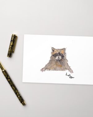 Bonjour Raccoon! Standard Postcard